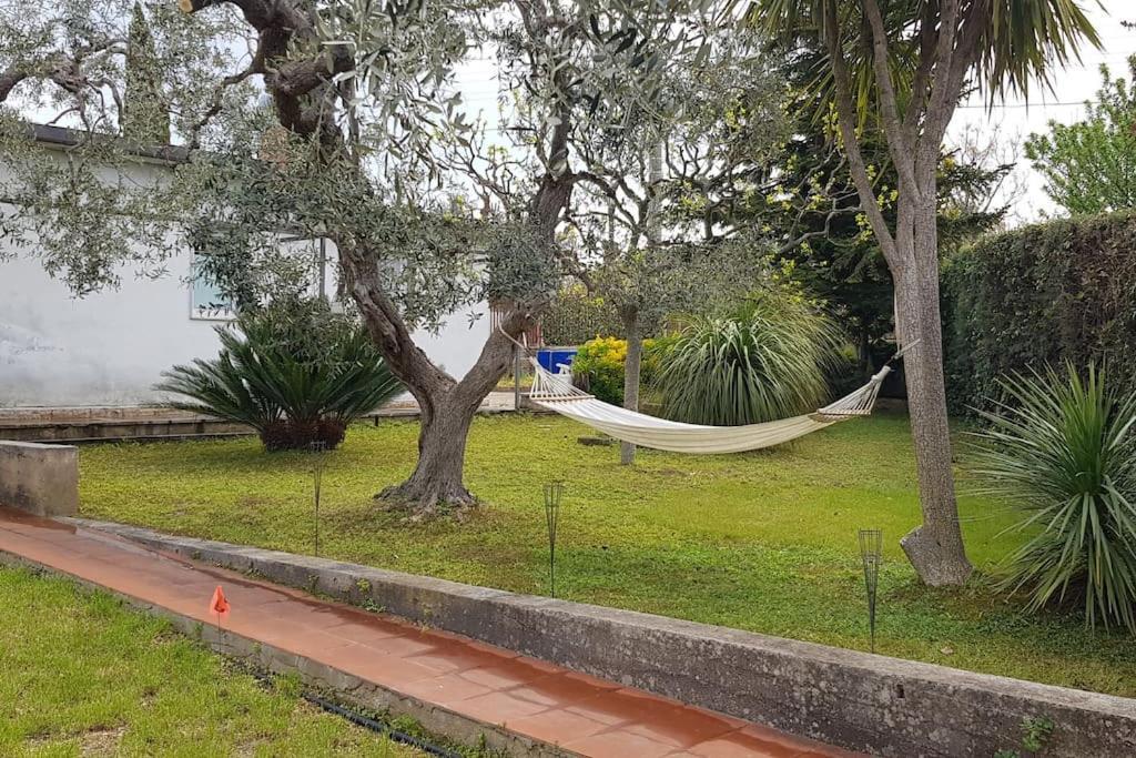 Countryhouse Gli Ulivi Modugno Bagian luar foto