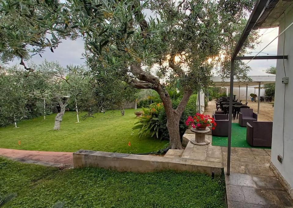 Countryhouse Gli Ulivi Modugno Bagian luar foto
