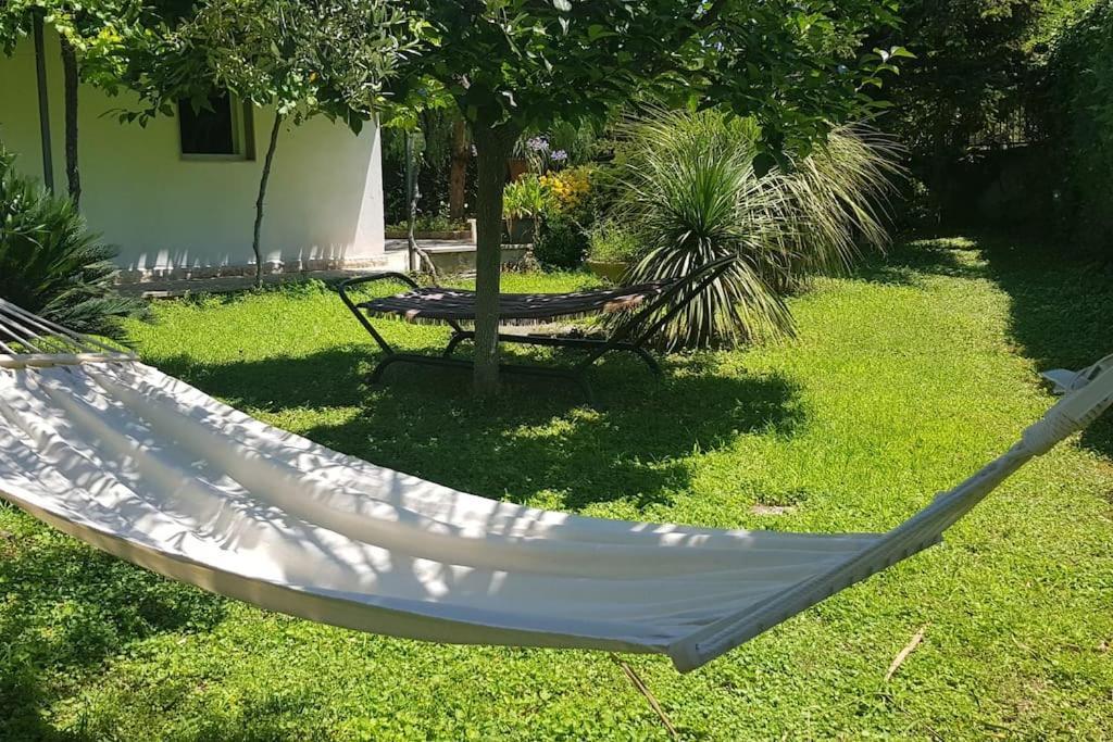 Countryhouse Gli Ulivi Modugno Bagian luar foto