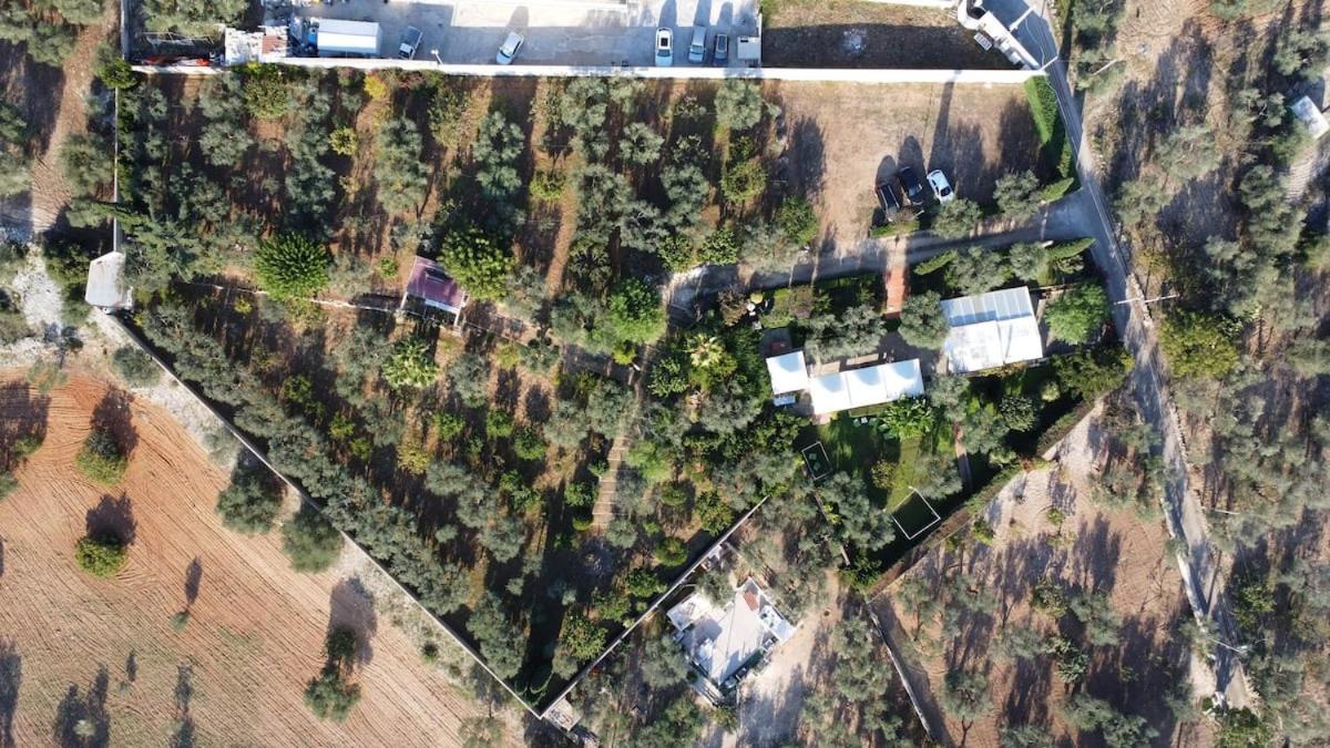 Countryhouse Gli Ulivi Modugno Bagian luar foto
