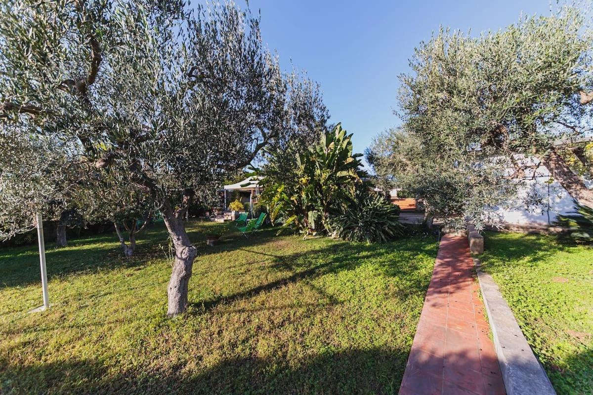 Countryhouse Gli Ulivi Modugno Bagian luar foto