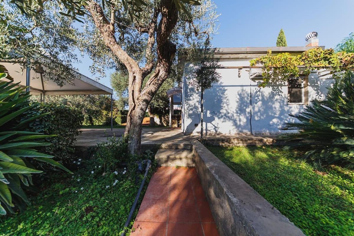 Countryhouse Gli Ulivi Modugno Bagian luar foto